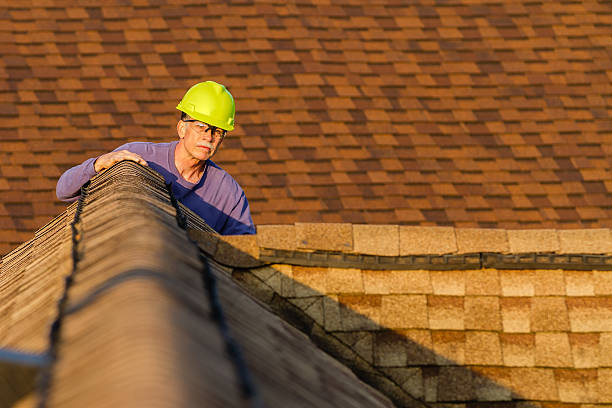 Best Roof Gutter Cleaning  in Big Stone Gap, VA