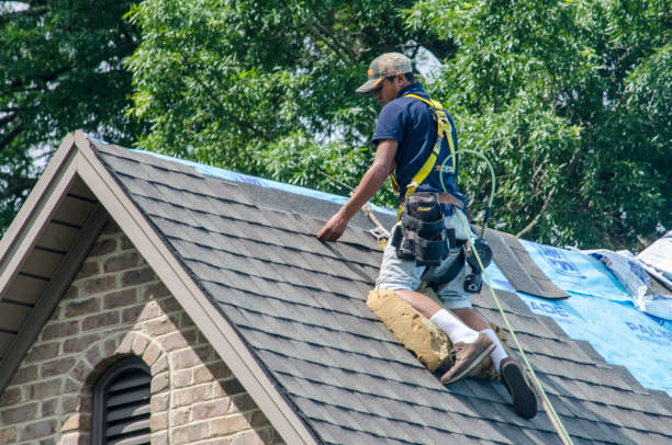 Best Roof Repair Services  in Big Stone Gap, VA